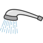Pommeau de douche