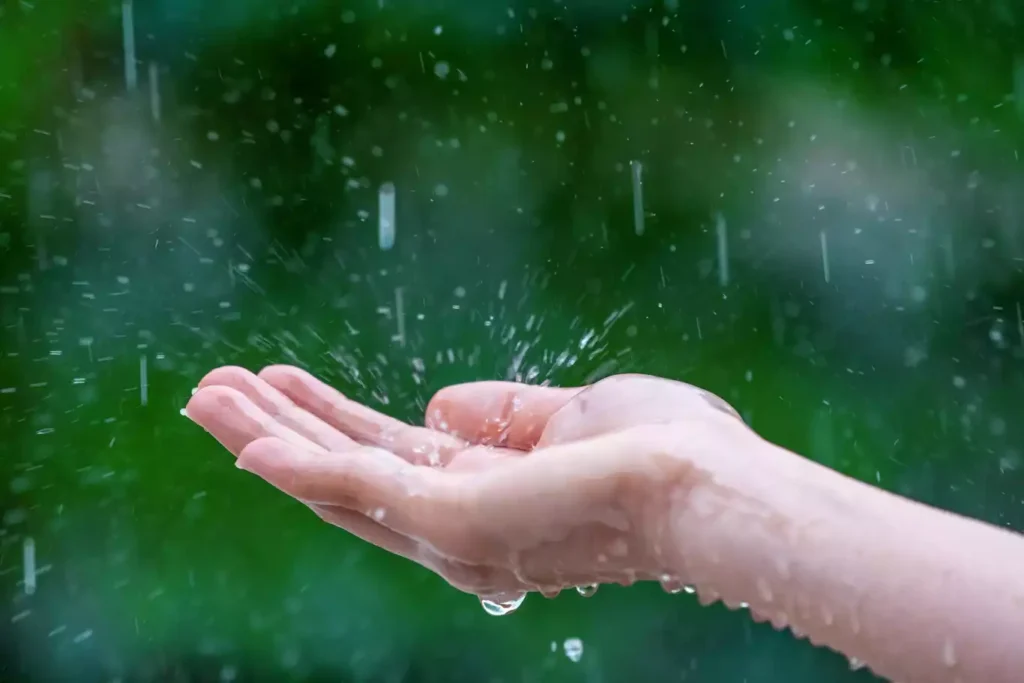 Eau de pluie sur une main